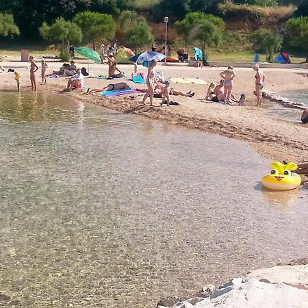Family-friendly With Swimming Pool Sveti Filip I Jakov, Biograd - 20967 Lejlighed Sveti Filip i Jakov
